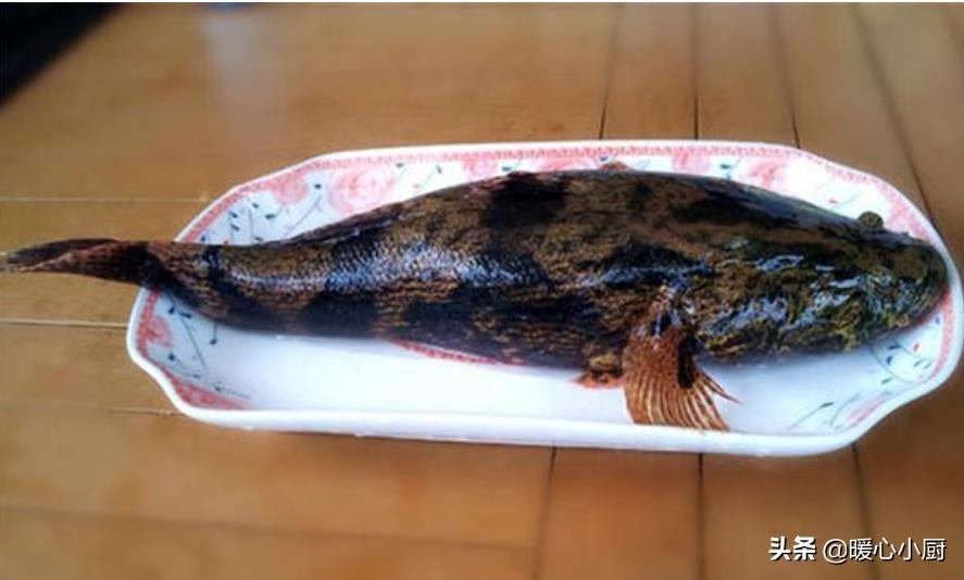 致富经笋壳鱼_壳鱼笋价钱_致富经笋壳鱼视频