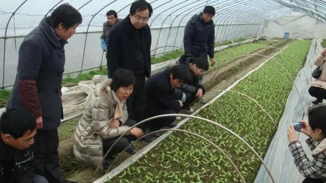 农村致富种_致富经养虫子_农民种植致富虫