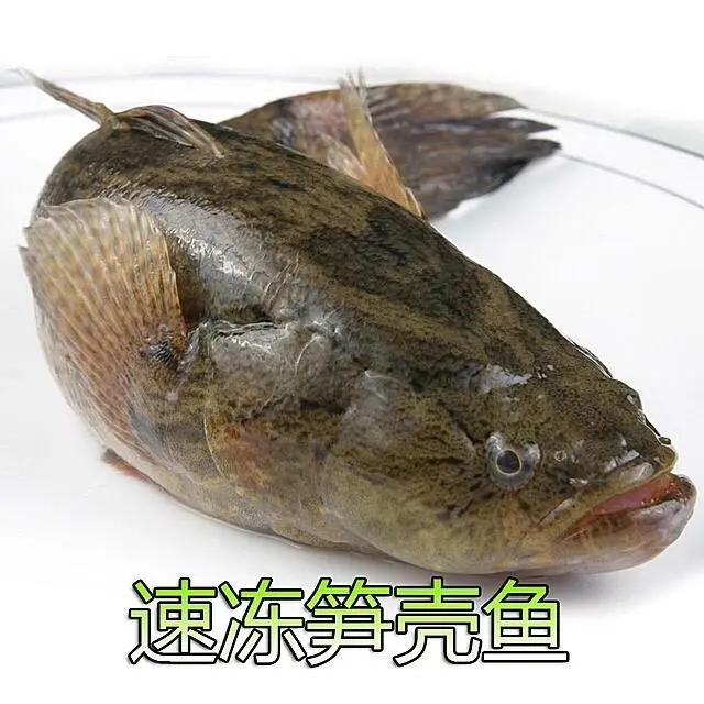沙塘养鱼要注意什么_沙塘鳢养殖成本与利润_沙塘鳢养殖使用技术