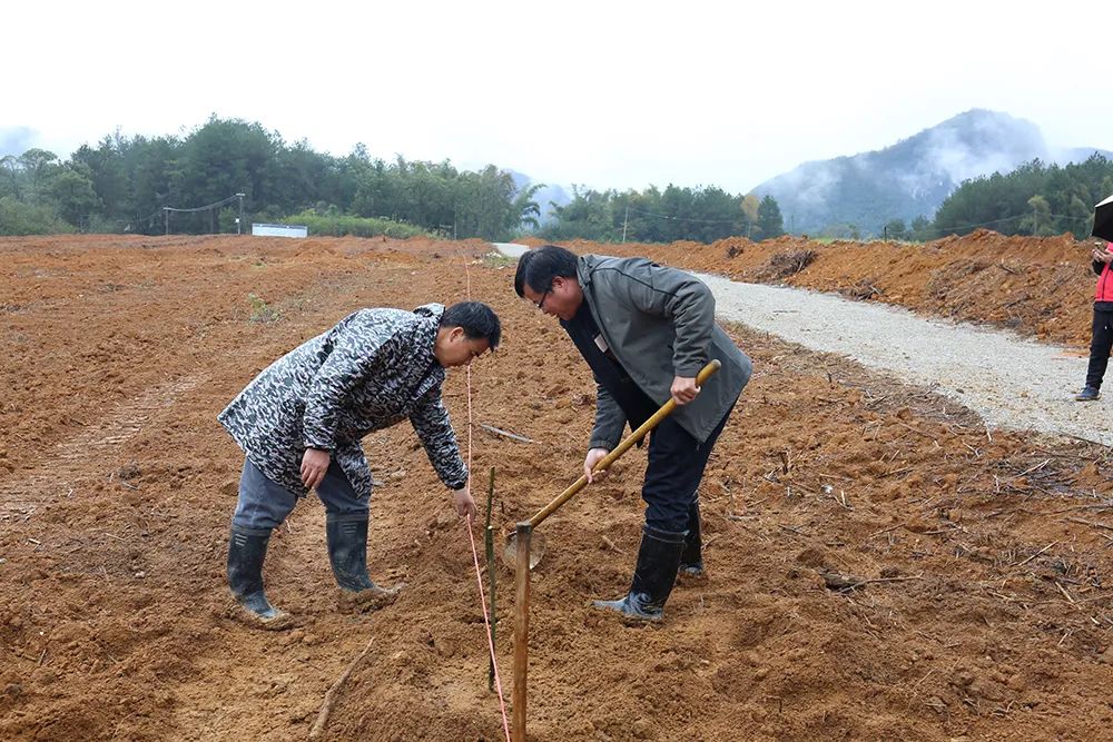 农村种植致富新项目_农村种植致富机器_种植农作物机器