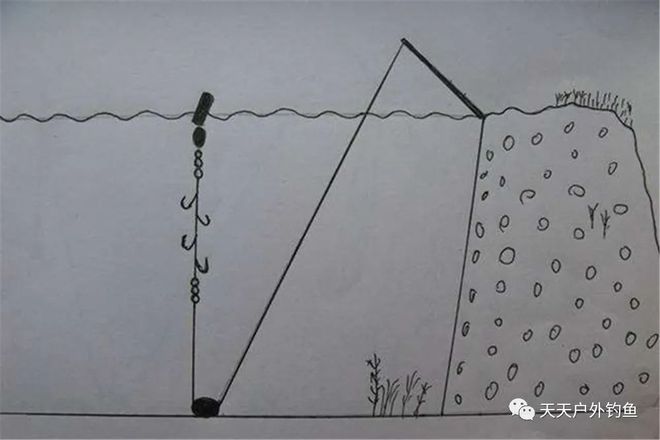 致富养殖翘嘴鱼_翘嘴养殖致富_致富养殖翘嘴鱼视频