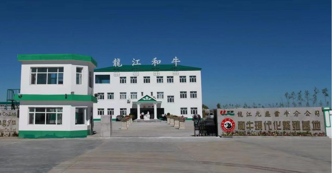 齐齐哈尔种植什么农作物_齐齐哈尔周边农村_齐齐哈尔农村种植致富