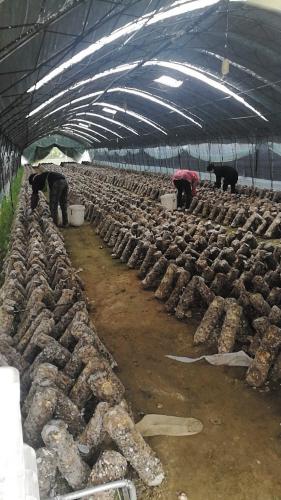 养马技术视频农广天地_致富经马养殖视频_养马致富经