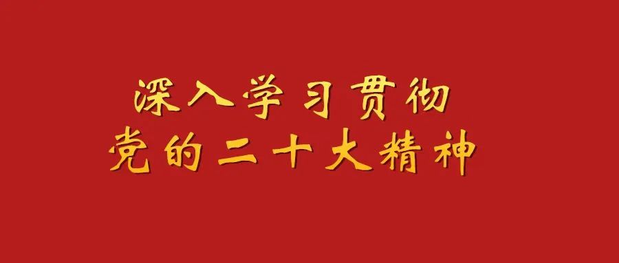 致富种植视频全集_种植致富农村项目大全_致富经林下种植