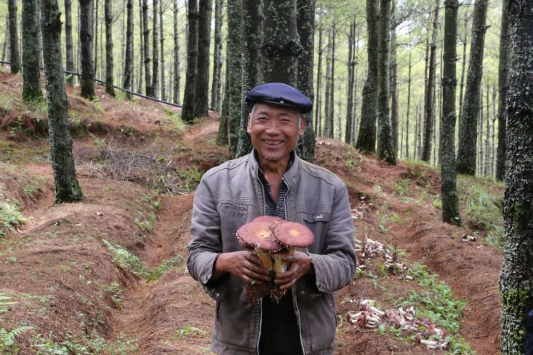 种植致富经_致富经林下种植_种植致富农村项目大全