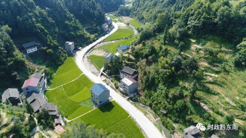 致富经林下种植_种植致富经_致富经种树的创业项目