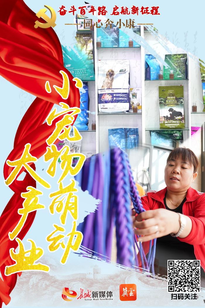 【奋斗百年路 起航新征程·同心奔小康㉑】邢台南和区：小宠物萌动大产业