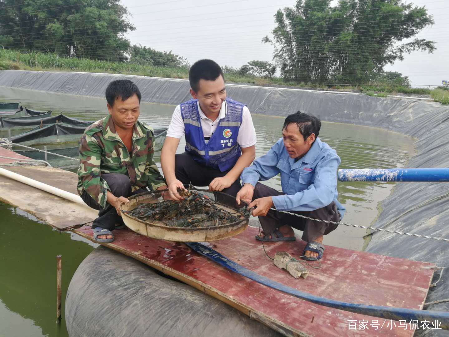沙漠建设大型养殖场_沙漠养殖致富视频_沙漠养殖项目