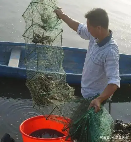沙漠养殖致富视频_沙漠建设大型养殖场_沙漠养殖项目