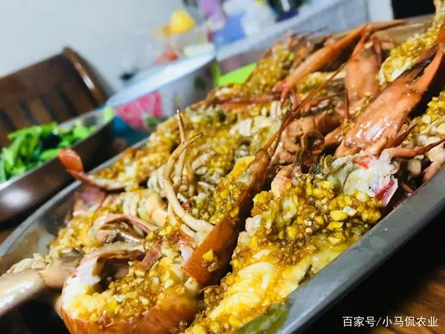 沙漠养殖致富视频_沙漠建设大型养殖场_沙漠养殖项目