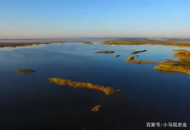 沙漠养殖项目_沙漠建设大型养殖场_沙漠养殖致富视频