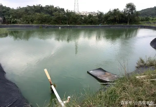 沙漠养殖项目_沙漠建设大型养殖场_沙漠养殖致富视频