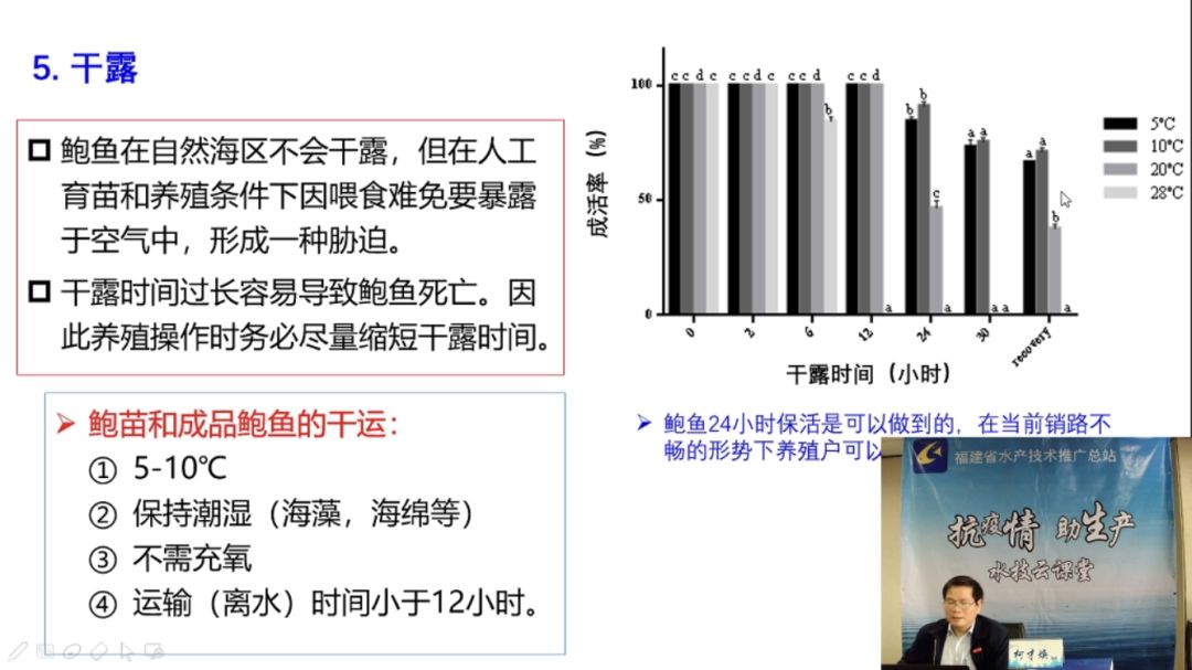 皱纹盘鲍养殖技术规范_皱纹盘鲍和杂色鲍的区别_皱纹盘鲍学名