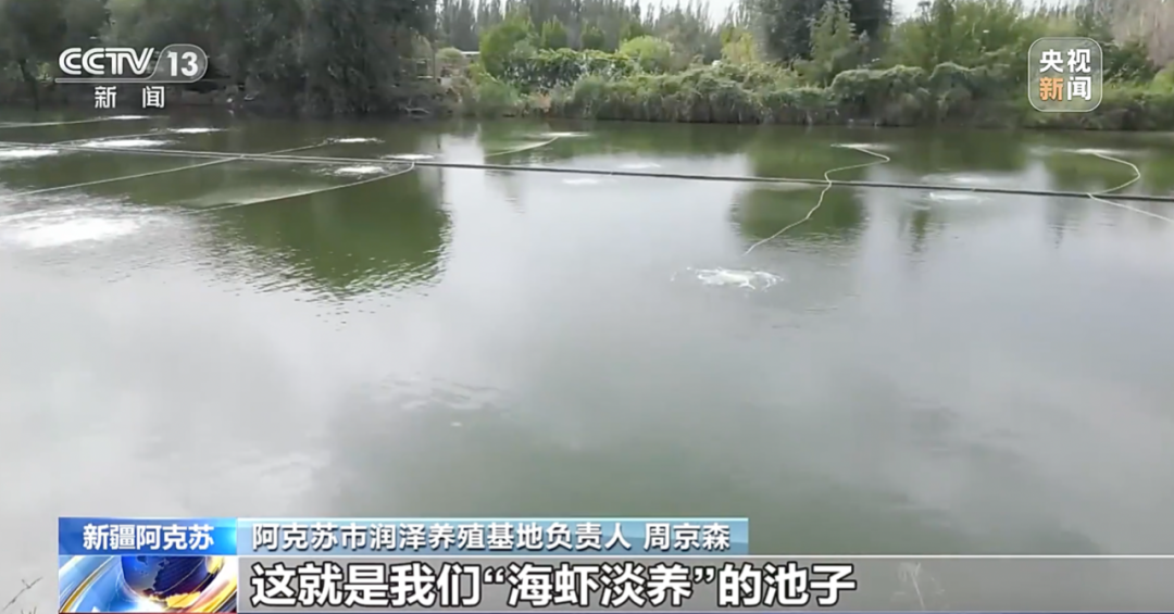 海水致富养殖宝典下载_海水养殖致富宝典_海水养殖什么最赚钱