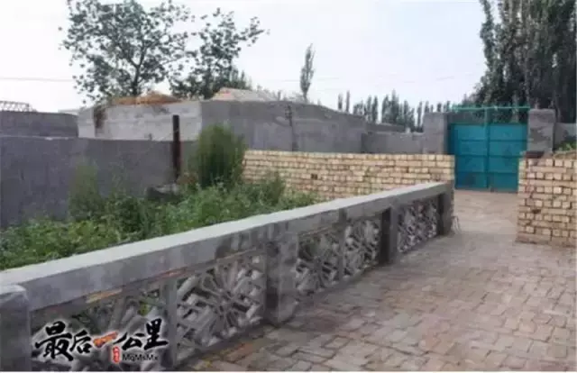 蜜蜂蜂盘有什么功效和作用_蜜蜂盘可以吃吗_购买蜜蜂养殖技术光盘