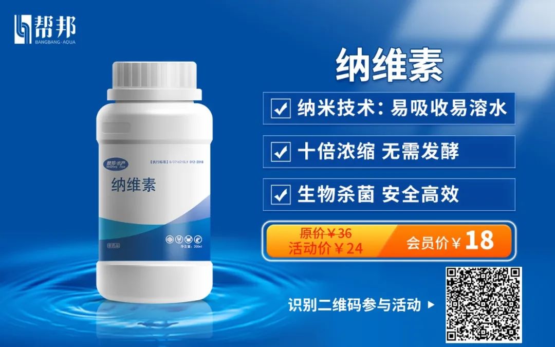 致富经小龙虾养殖技术视频_龙虾致富经_致富经养殖龙虾爱琢磨