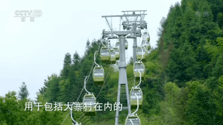 央视致富经养牛视频_央视致富经养猪_央视7套致富经家蓄养殖