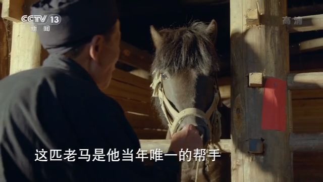 央视7套致富经家蓄养殖_央视致富经养牛视频_央视致富经养猪