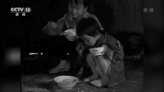 央视致富经养猪_央视7套致富经家蓄养殖_央视致富经养牛视频