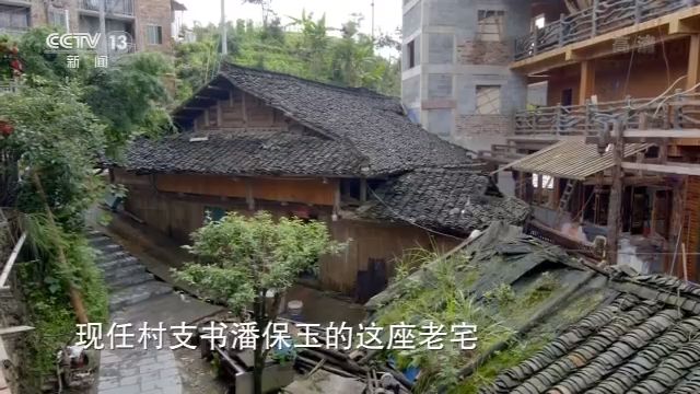央视致富经养猪_央视7套致富经家蓄养殖_央视致富经养牛视频