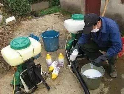 购买蜜蜂养殖技术光盘_小蜜蜂光碟_蜜蜂蜂盘有什么功效和作用