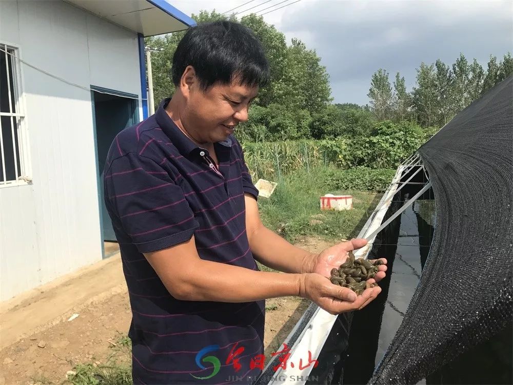 致富经红虫养殖_致富经养蛆_养殖大肉虫致富