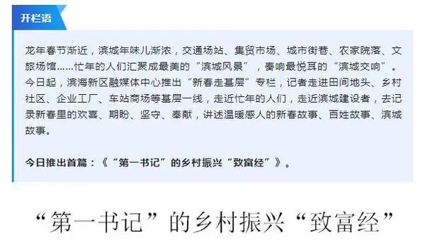 丹东种草莓赚钱吗_致富经丹东草莓种植大户_致富大户种植丹东草莓视频