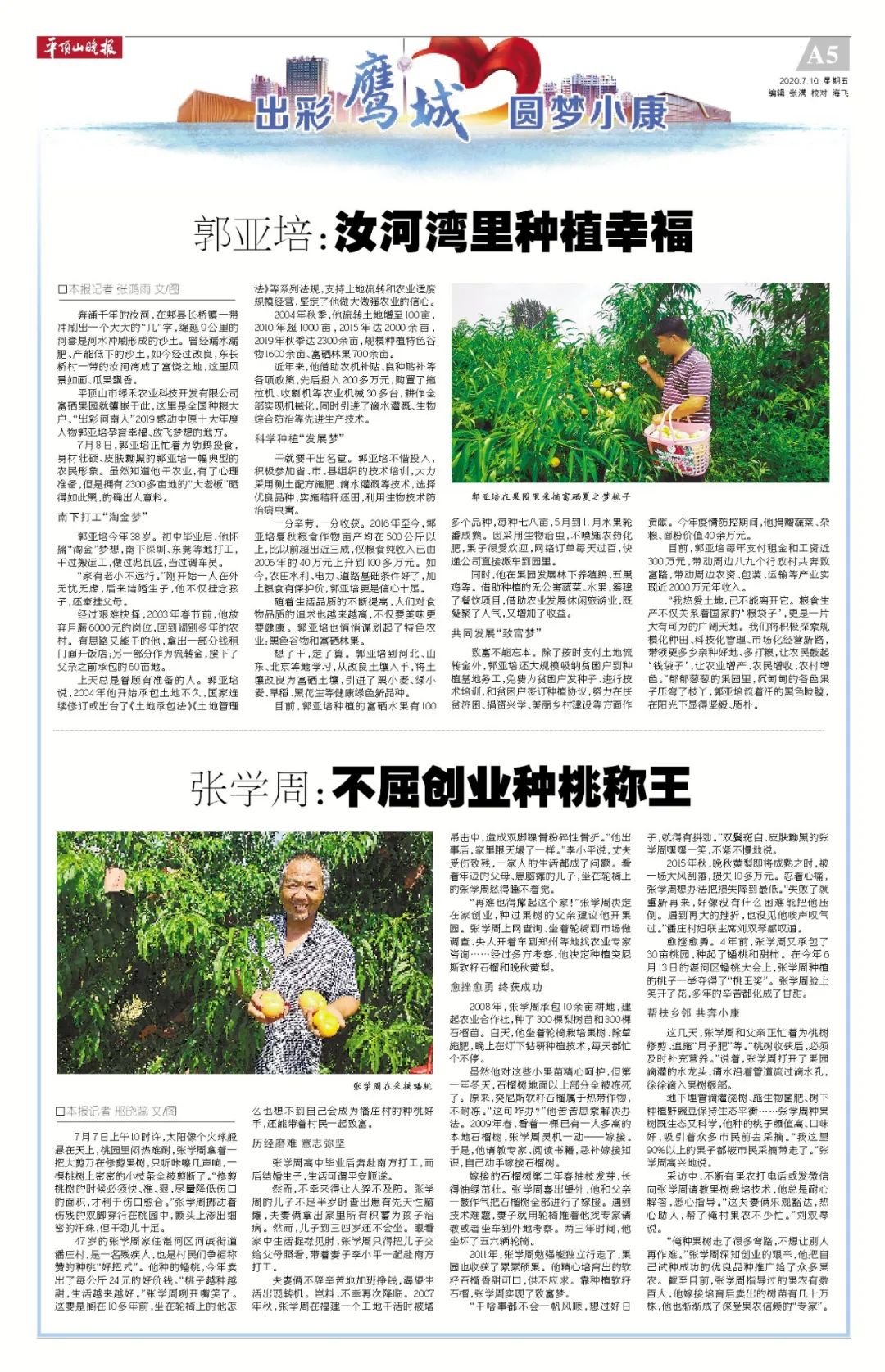 大果黑石榴的种植前景_黑石榴种植技术_种植黑石榴致富