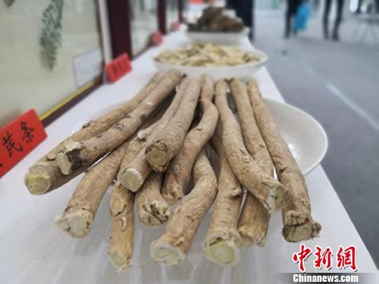 西北中药材种植_定西中药种植致富_中药材种植致富