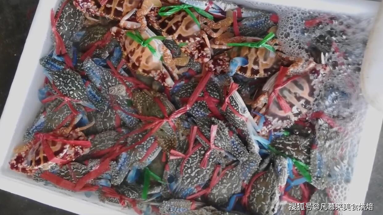 沙钻鱼能人工养殖吗_沙钻鱼养殖技术_沙钻鱼多少钱