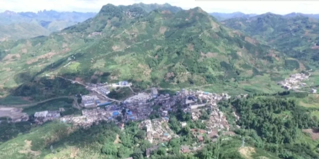 种植脱贫致富_贫困山乡种植致富_贫困山区要致富