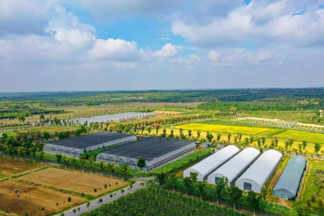 合肥种植基地_合肥周边农村_合肥农村种植致富