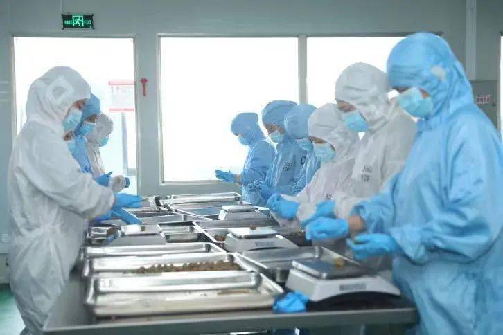 合肥种植基地_合肥周边农村_合肥农村种植致富