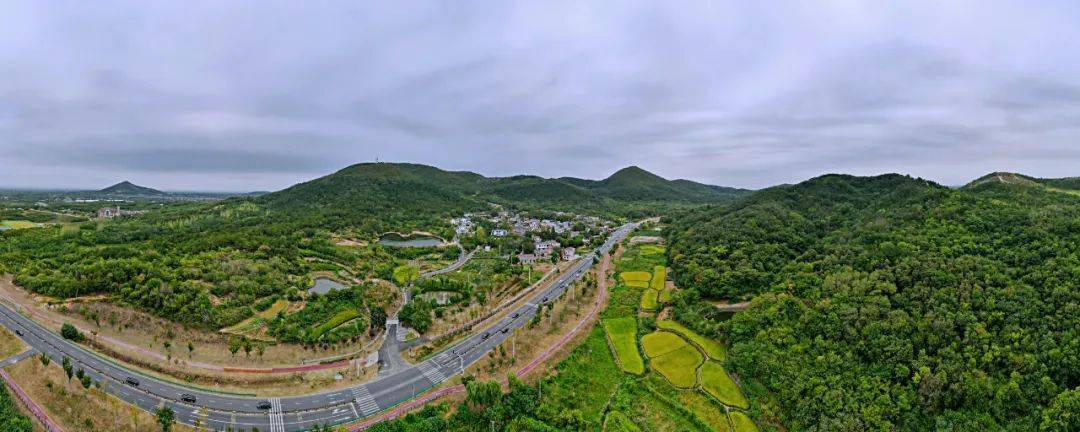 合肥农村种植致富_合肥周边农村_合肥种植基地