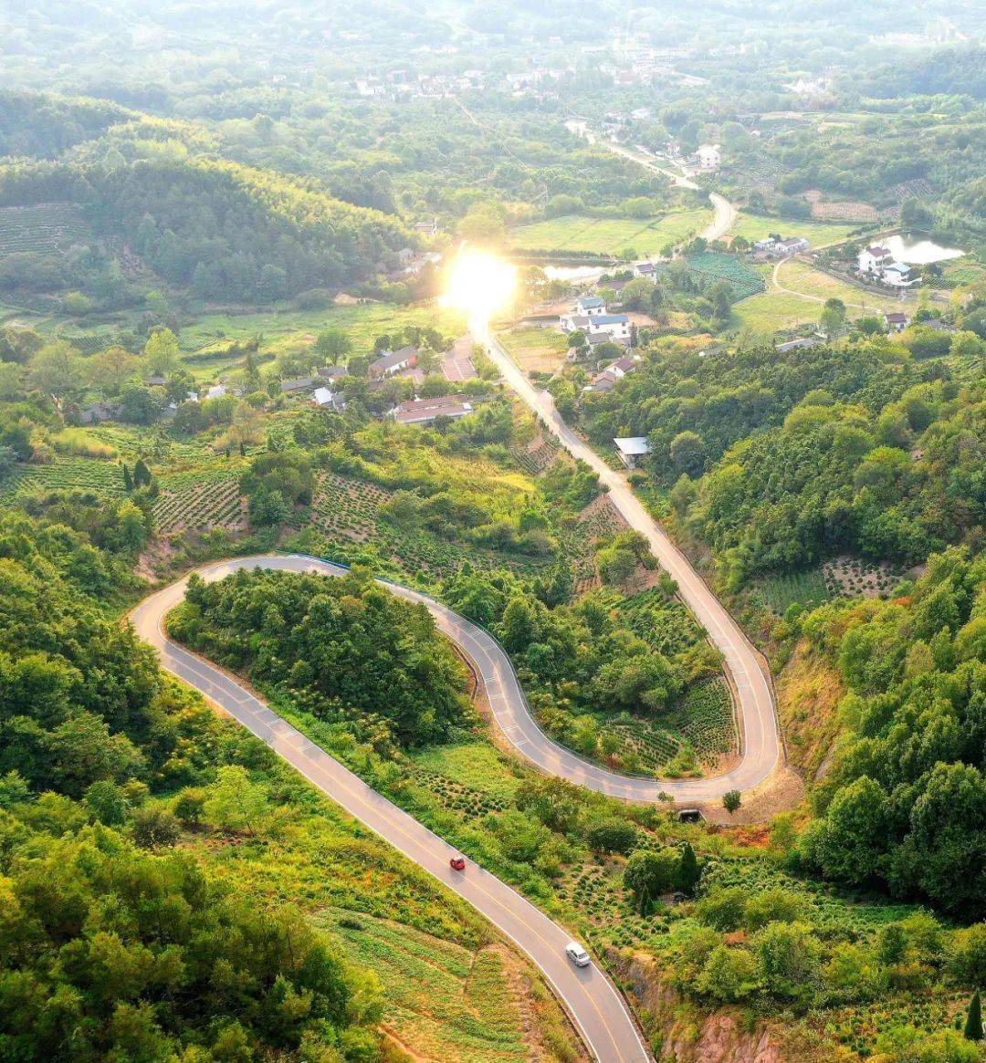 合肥农村种植致富_合肥周边农村_合肥种植基地
