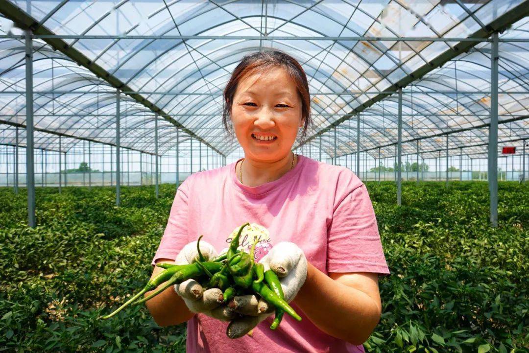 合肥种植基地_合肥周边农村_合肥农村种植致富