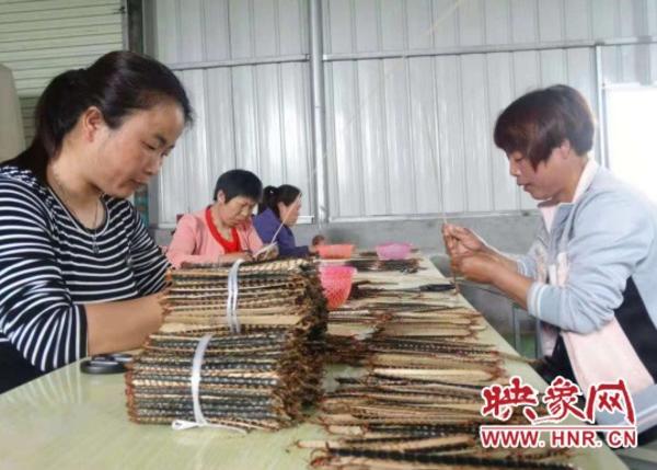 养殖蜈蚣的技术_蜈蚣养殖致富经_致富经蜈蚣养殖技术
