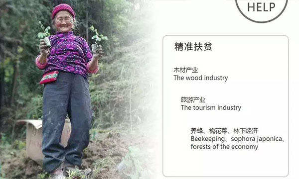 林业产业扶贫