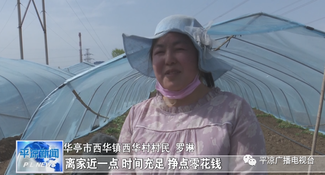 致富经西瓜种植视频_西瓜种植机器_西瓜种植致富机