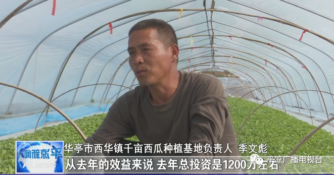 致富经西瓜种植视频_西瓜种植机器_西瓜种植致富机