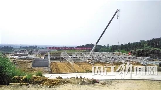 生态养殖致富之门_致富经生态养猪_致富养殖好项目大全