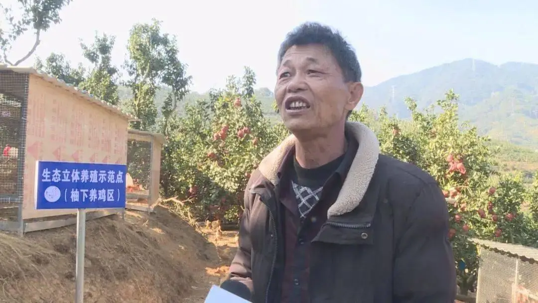 致富养殖好项目大全_致富养殖信息_生态养殖致富之门