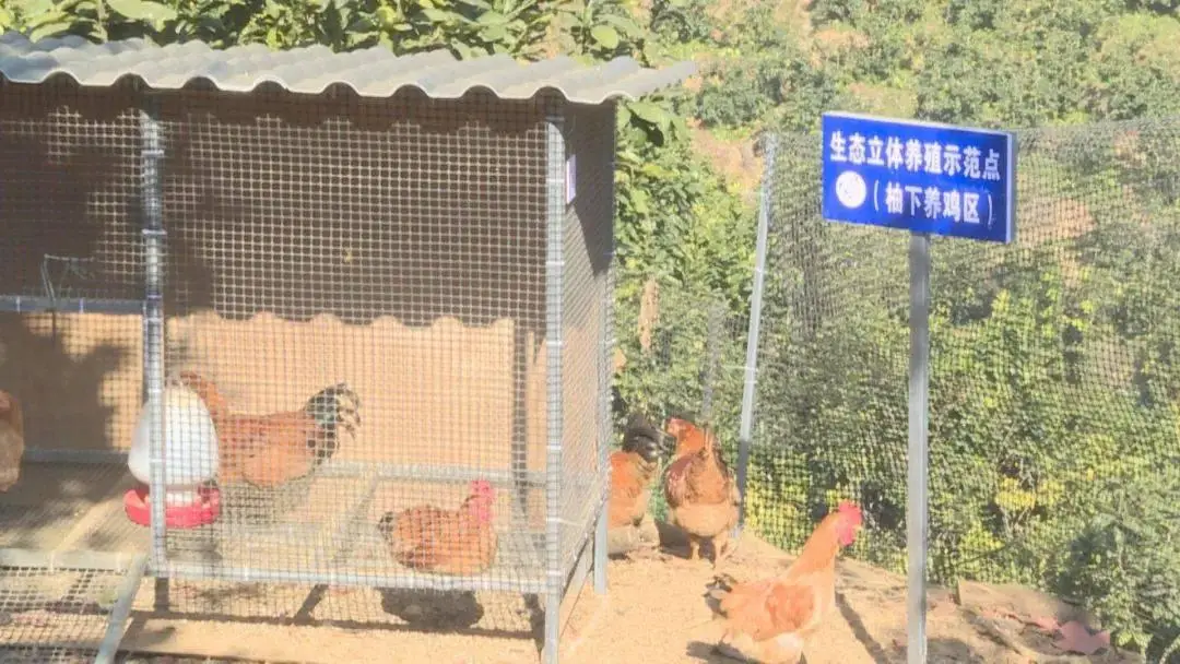 致富养殖信息_生态养殖致富之门_致富养殖好项目大全
