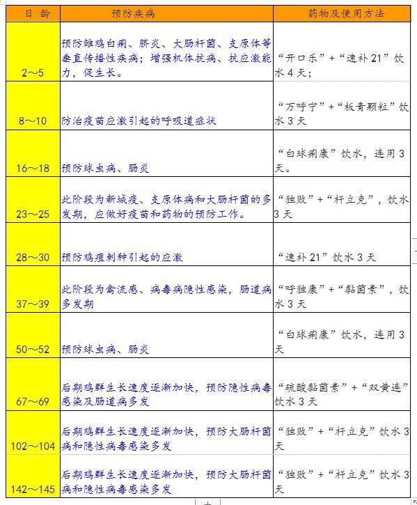 养殖鸡技术大全_养殖鸡的方案_鸡养殖技术方案