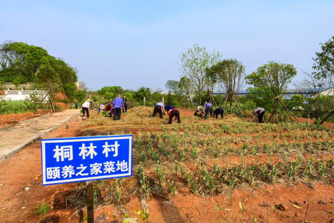优质服务典型经验材料_优质服务典型经验案例_优秀案例经验分享