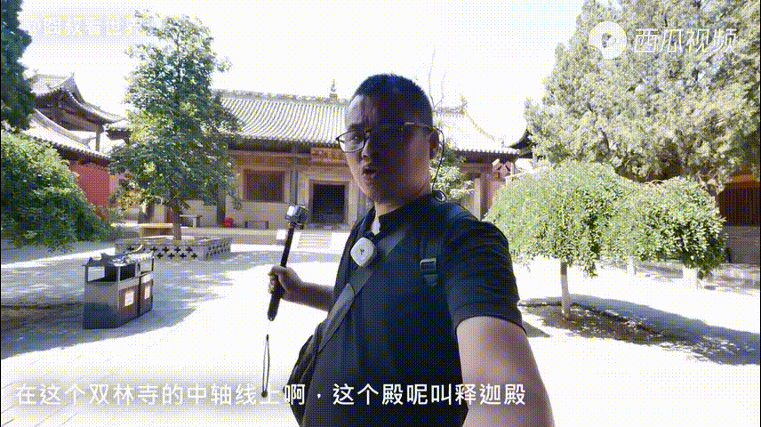致富经马桑种植视频_桑葚种植致富视频_农村种植致富好项目