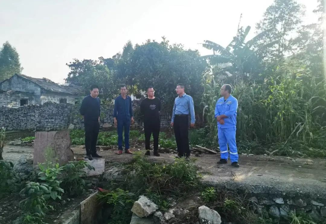 合山种植致富_种植致富农村项目大全_农村致富种植