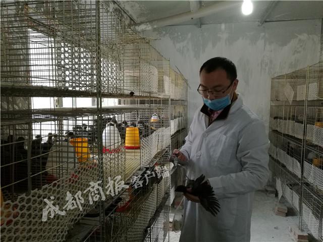 致富养殖业_宜宾养殖致富案例_致富养殖项目