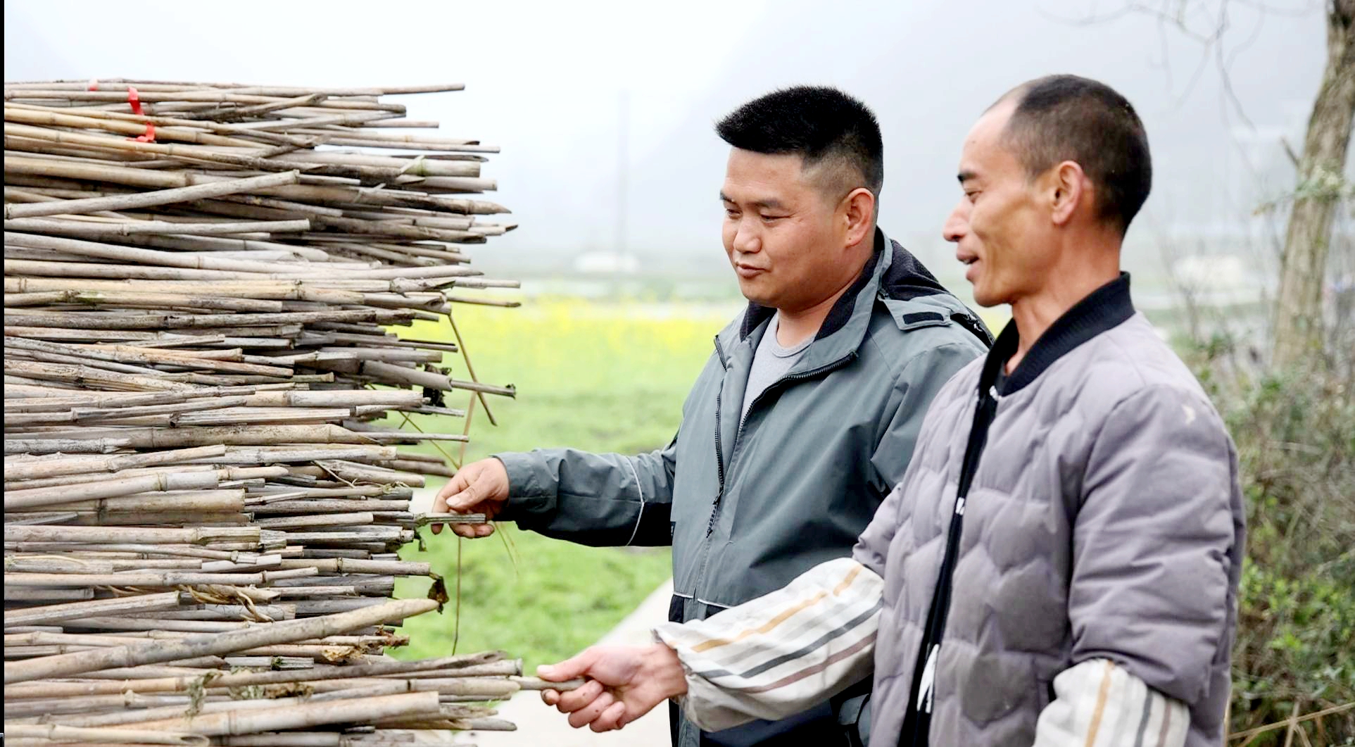 龙仕林和农户查看豆架准备情况2.JPG