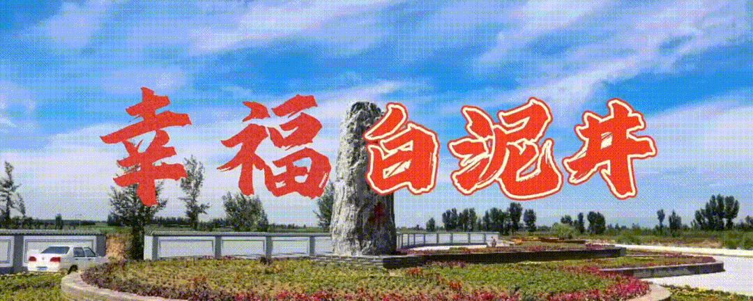 柴登村：中药材种植开出乡村振兴“致富良方”